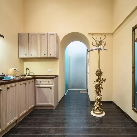 Apartment In Downtown Lviv